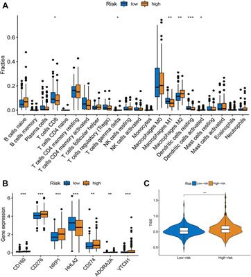 Establishment of m7G-related gene pair signature to predict overall survival in colorectal cancer